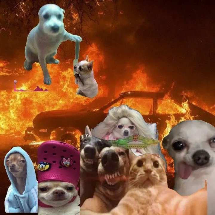 Grupos de Telegram sobre https://t.me/+ynNdhKSRNN03ODdh