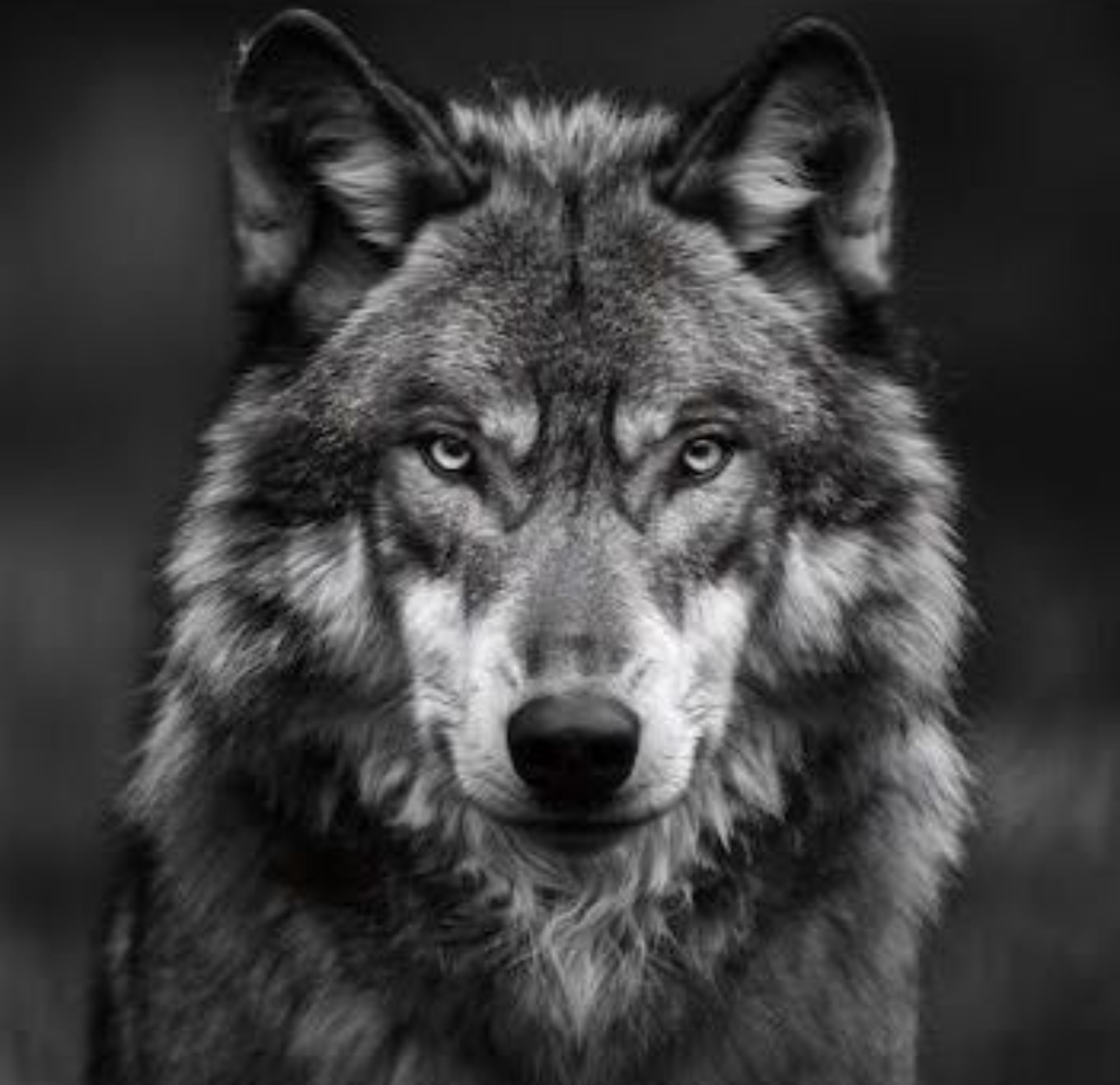 Grupos de WhatsApp sobre https://chat.whatsapp.com/JC6xRsXQcH8AW8ye0PfOaN