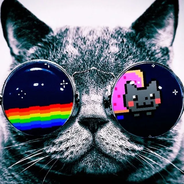 Grupos de Telegram sobre https://t.me/lives_cast